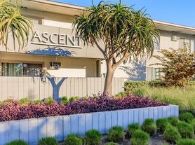 Ascent Apartment Homes