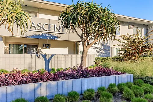 Ascent Apartment Homes Photo 1