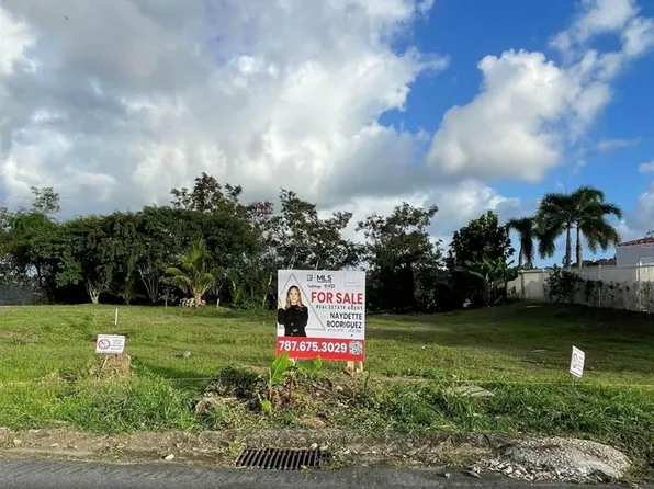 Bo Piedras Blancas, Guaynabo, PR 00969