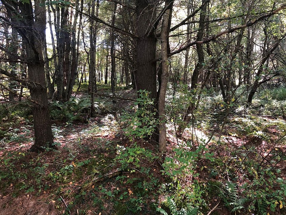 Launt Hollow Rd, Hamden, NY 13782 Zillow