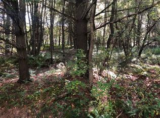 Launt Hollow Rd, Hamden, NY 13782