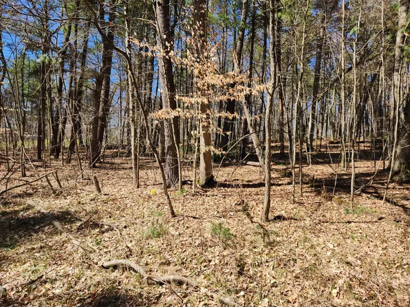 6135 E 92nd St, Newaygo, MI 49337