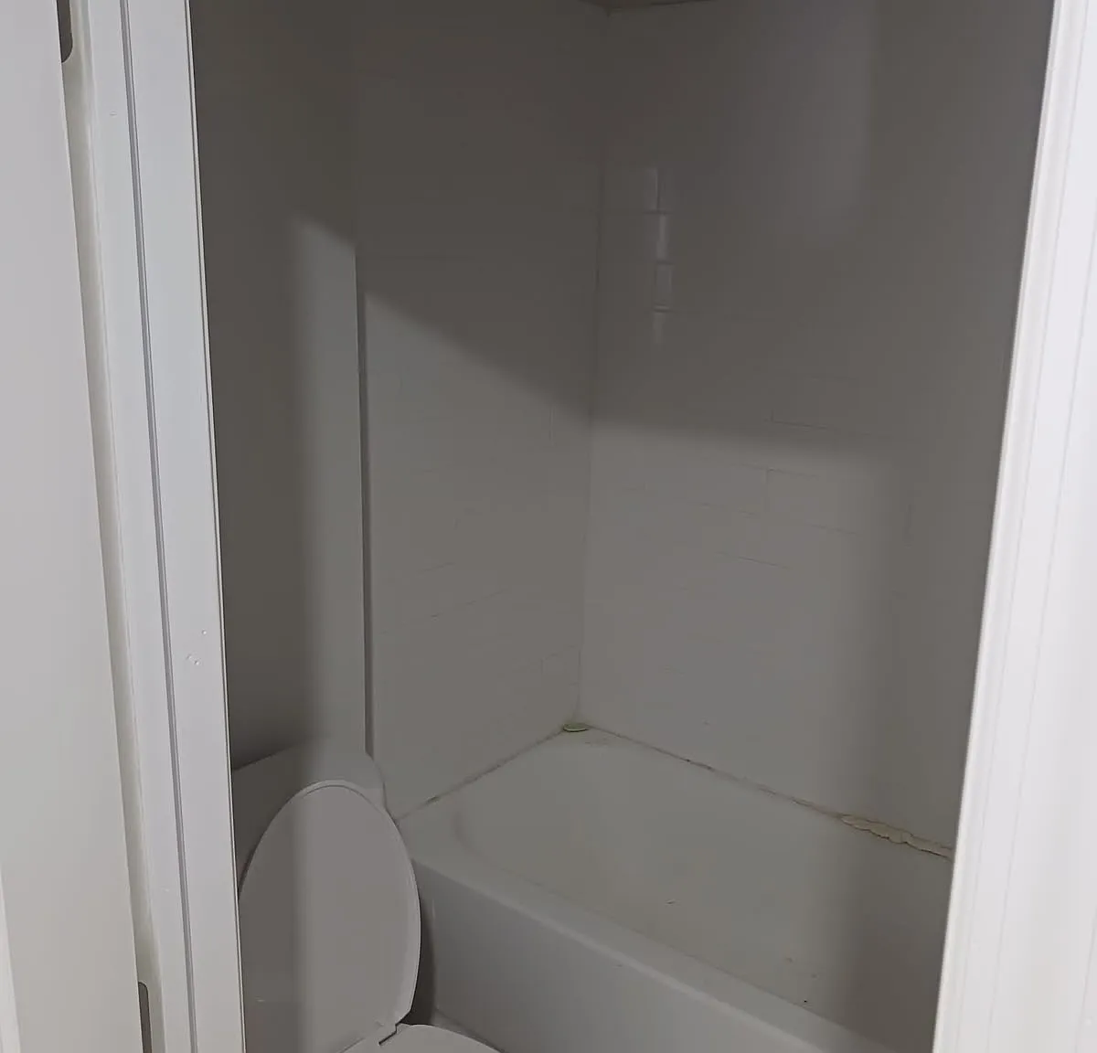 2 bed, $1,650 — Photo 3