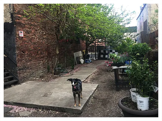 Rented by Opera House Lofts | media 69