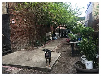 Rented by Opera House Lofts