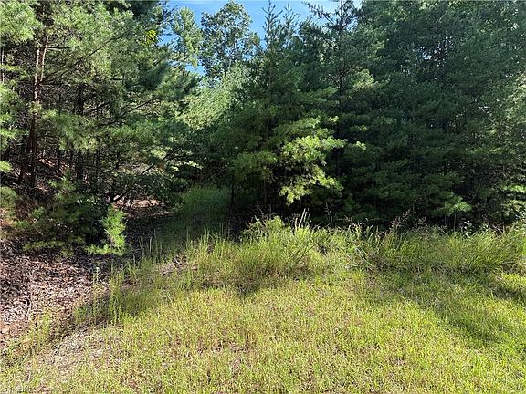 3rd image of 24 Wolf Pen Rd Lot 24