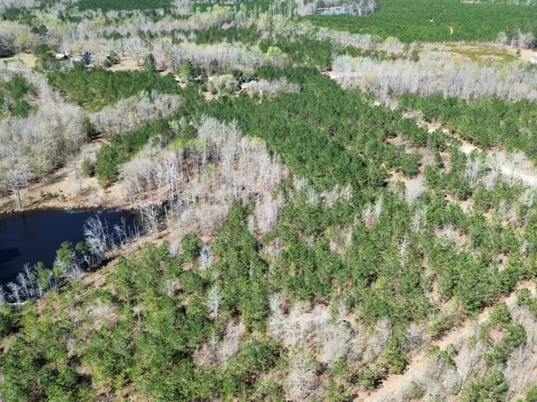 2521 Highway 268, Mount Croghan, SC 29727