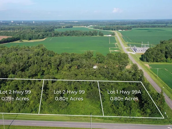 LOT 3 S Highway 99, Mc David, FL 32568