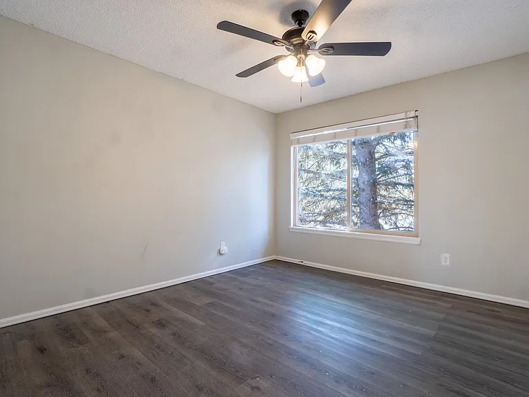 3684 Iguana Dr — Photo 7