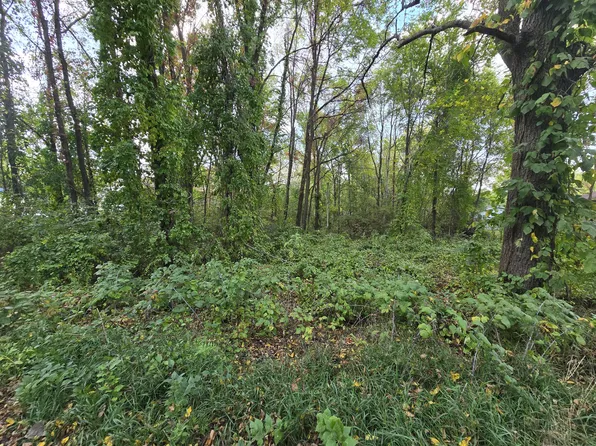 W Guernsey Lake Rd, Delton, MI 49046