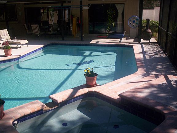 Great privacy in the pool area!