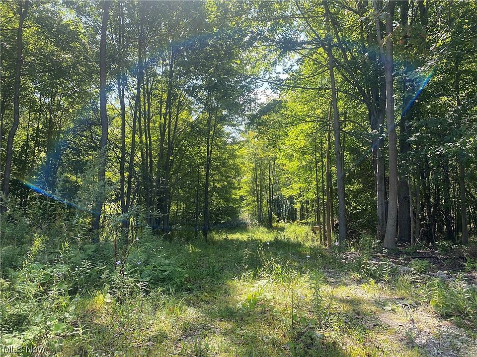 310 Traxler Rd, Dorset, OH 44032 Zillow