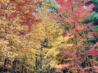 Lot 33 South Badger Lane #33, Arkdale, WI 54613