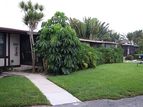 Pathway to Patio Entrance