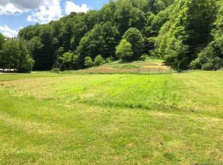 3653 Pigeon Roost Rd, Green Mountain, NC 28740