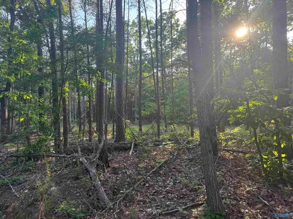 475 Summer House Mountain Rd, Cherokee, AL 35616