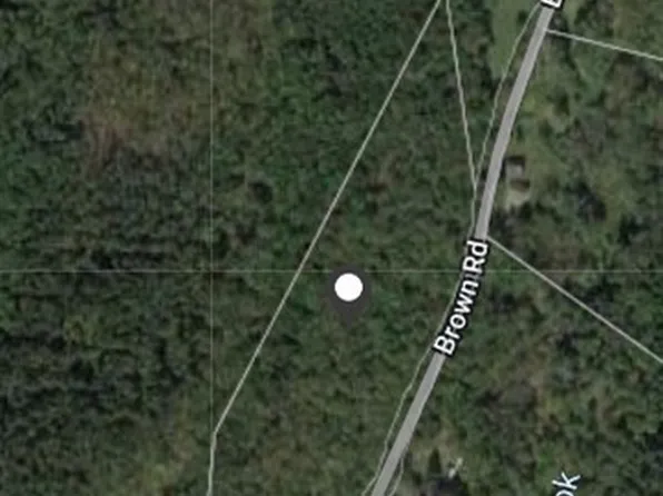 0 Brown Rd #13, Earlville, NY 13332