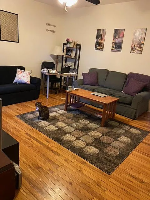 LARGE HARDWOOD FLOORS - 1904 Green St #3W