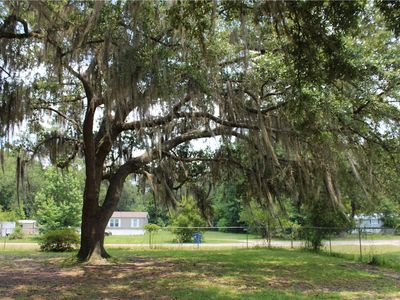 5988 Pringle Rd, Bryceville, FL, 32009