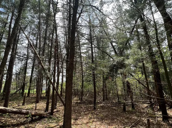 325 W Harrison Ave, Grantsburg, WI 54840