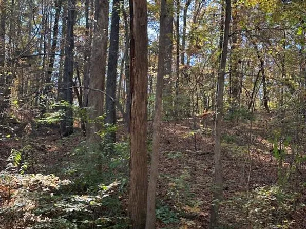 0 Beckerdite Rd #2, Sophia, NC 27350