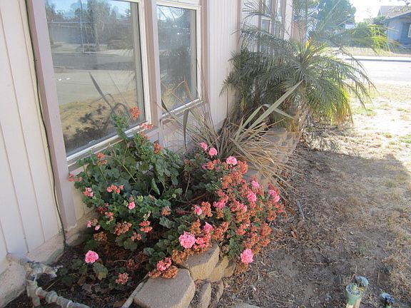 3rd image of 402 E Evergreen Ave