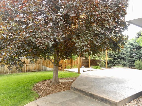 Patio/Backyard