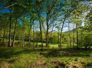 351 Walnut Valley Pkwy, Arden, NC 28704