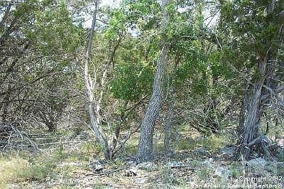 4th image of 234 Longwood