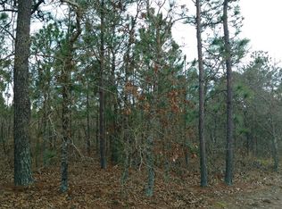 0 W State Highway 137 W, Buena Vista, GA 31803