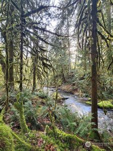 6858 Silver Lake Road, Deming, WA, 98244