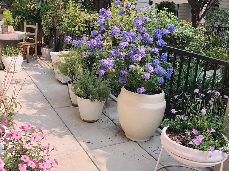 The home features a small private patio outdoor seating