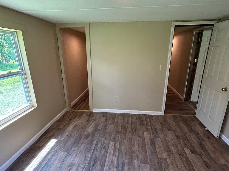 Lippizan Ct — Photo 10