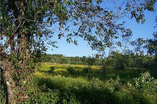 2nd image of L1 Mile Road