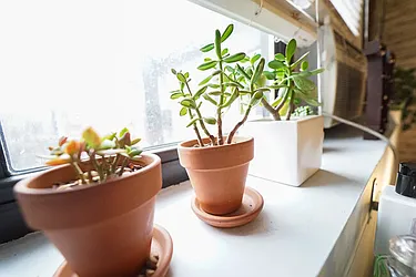 Rented by City Vista Inc