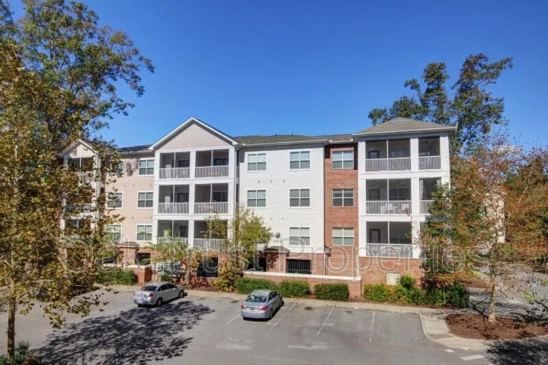 2 bed, 2.0 bath, 990 sqft, $2,000 — Photo 2
