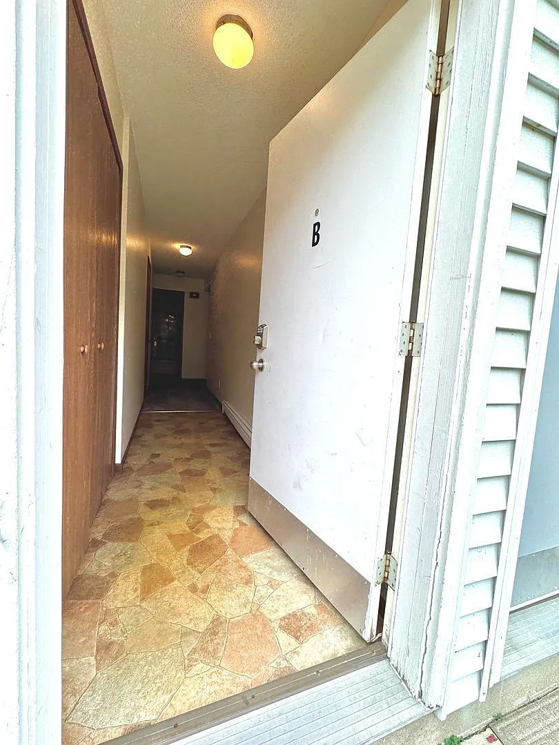2 bed, 1.0 bath, 775 sqft, $1,250 — Photo 3