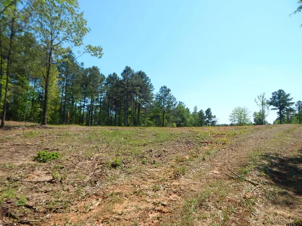 Fm 1795 Side #1, Big Sandy, TX 75755