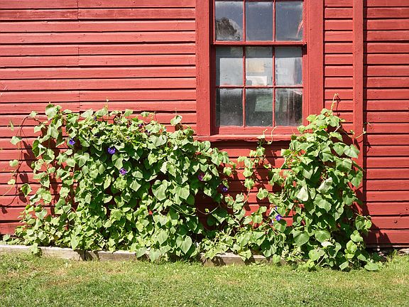 Freshly-painted large barn