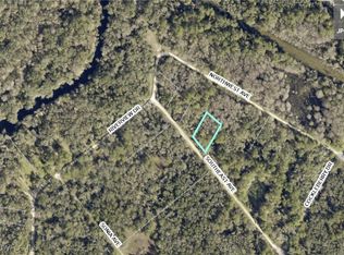 7406 Southeast Ave, Webster, FL 33597