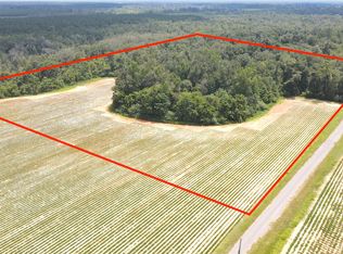 0 Girlsey Ln, Campbellton, FL 32426