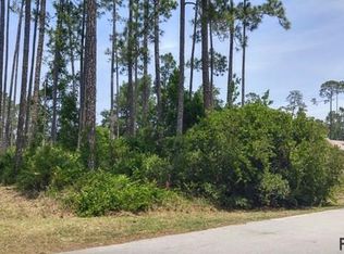 62 Wellshire Ln, Palm Coast, FL 32164