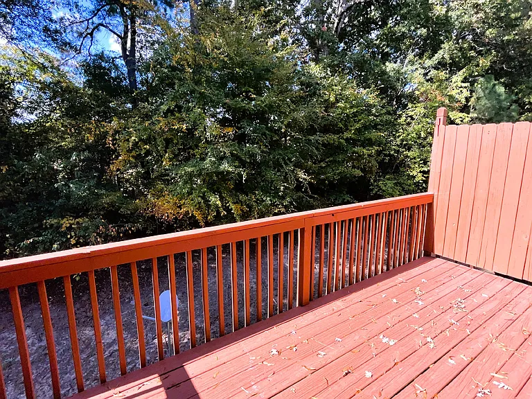 316 Linden Park Ln — Photo 17