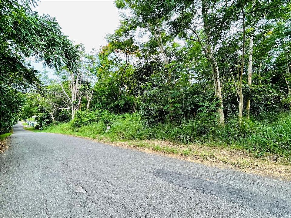 2nd image of CARR 100 KM 5.2 BO. MIRADERO
