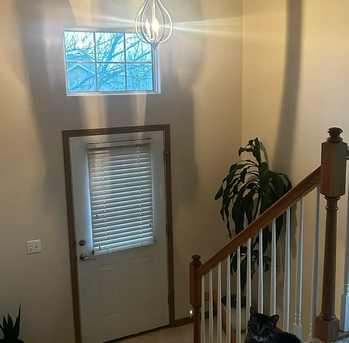 3 bed, 1657 sqft, $800 — Photo 4