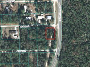 0 NE 204th Pl #1, Fort Mc Coy, FL 32134