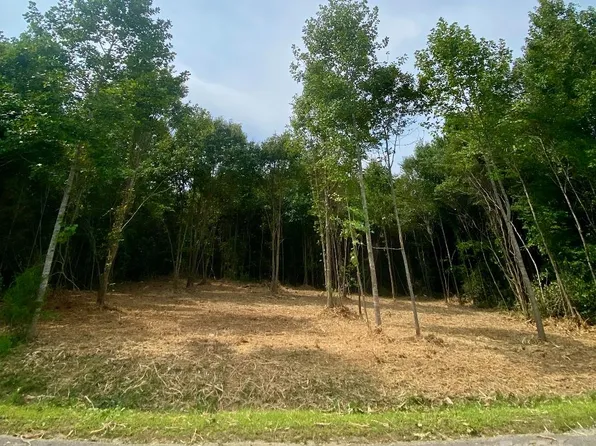 3 Erwin Temple Church Rd, Woodleaf, NC 27054