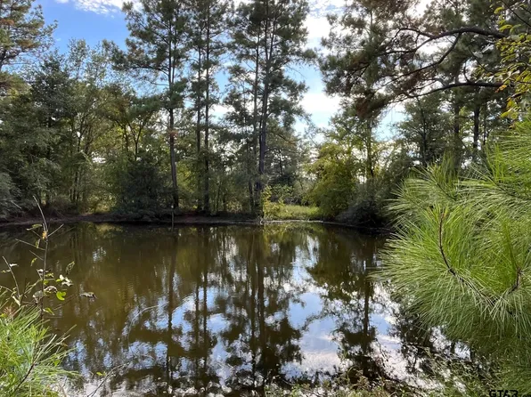 7749 County Road 4200, Pennington, TX 75856