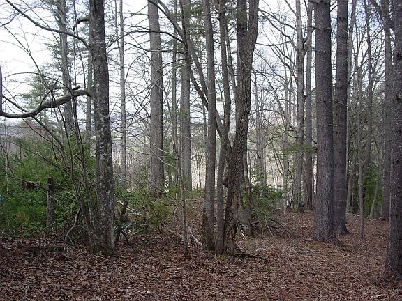 2nd image of TRACT 3 Hf Lyons Rd