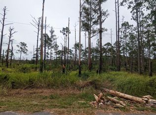 13125 Lacebark Pine Rd, Orlando, FL 32832